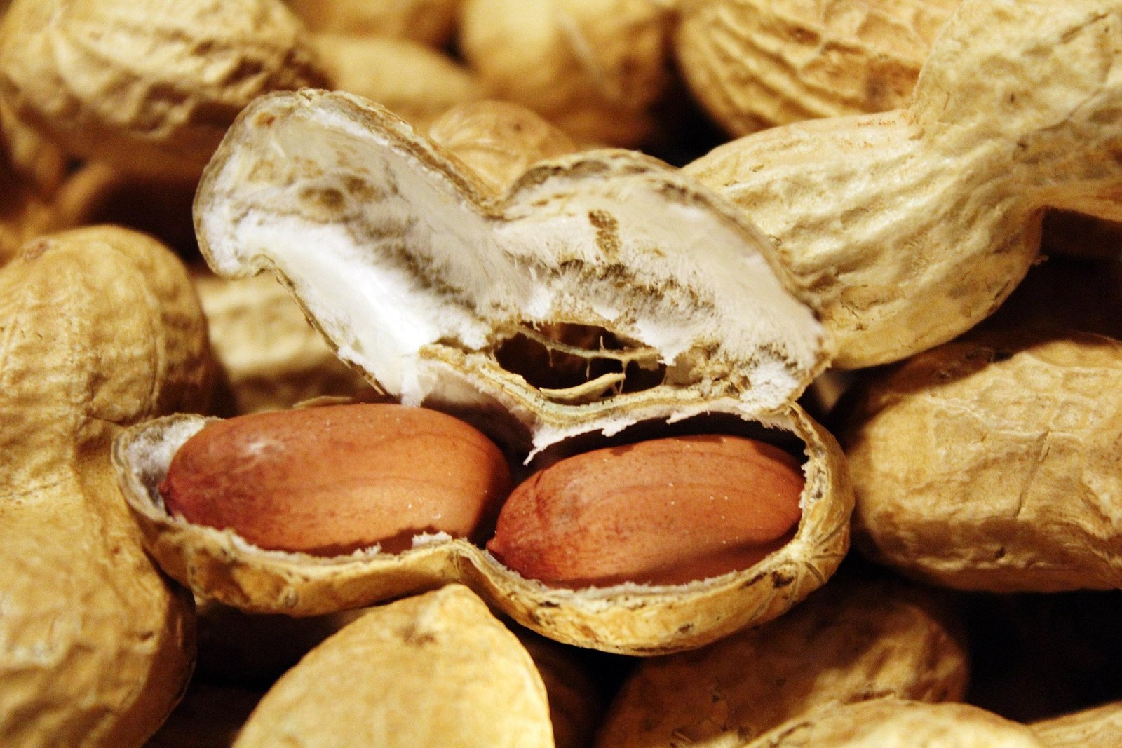 Tantetati Peanuts 1046140 1920