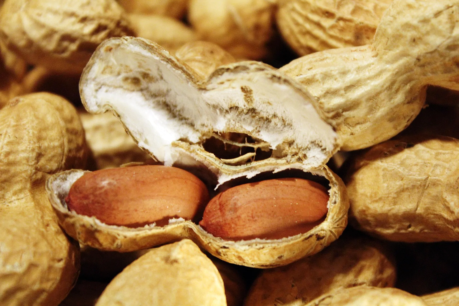 Tantetati Peanuts 1046140 1920 Tantetati Peanuts 1046140 1920